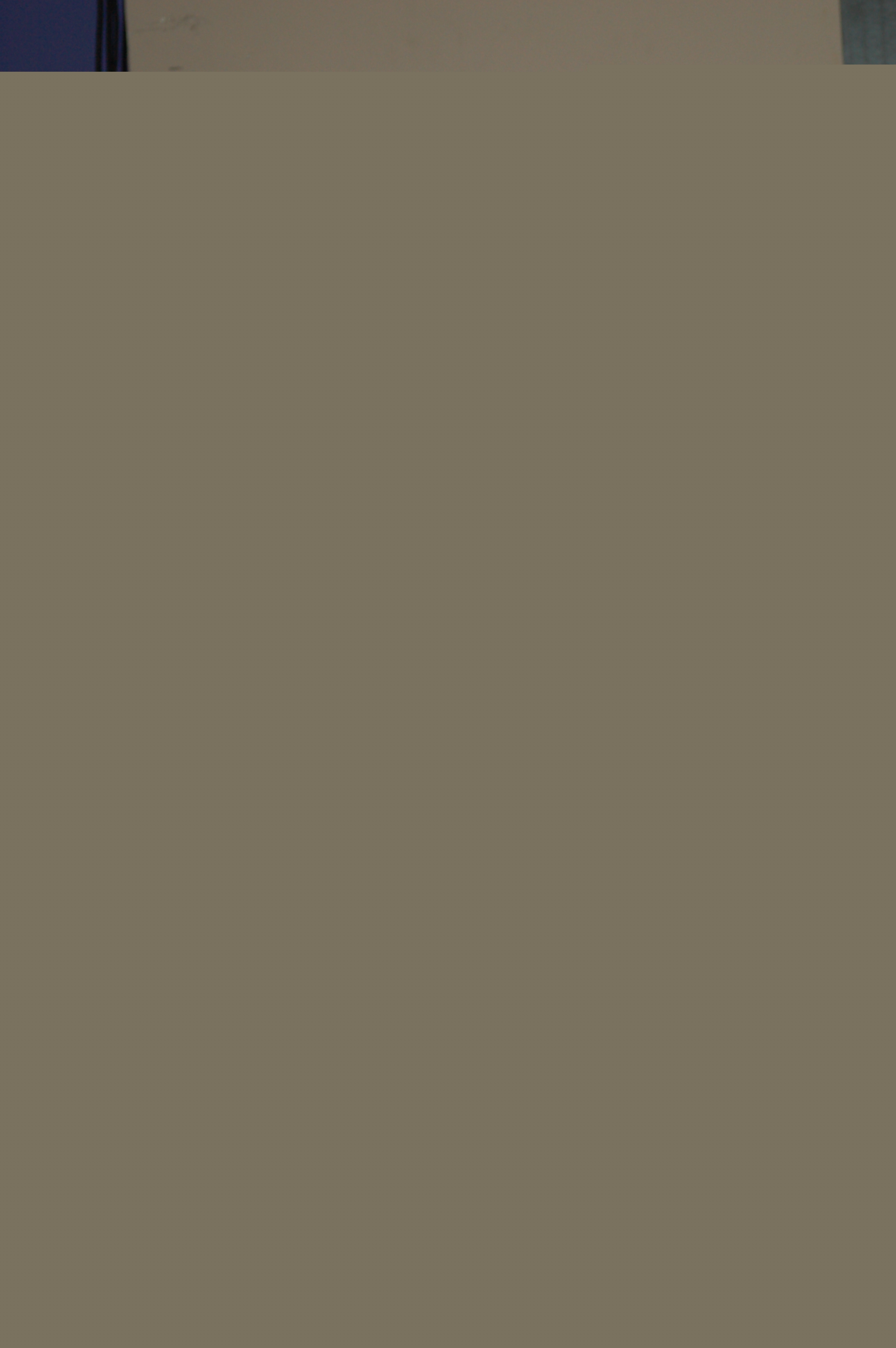 webassets/DSC_0220.jpg